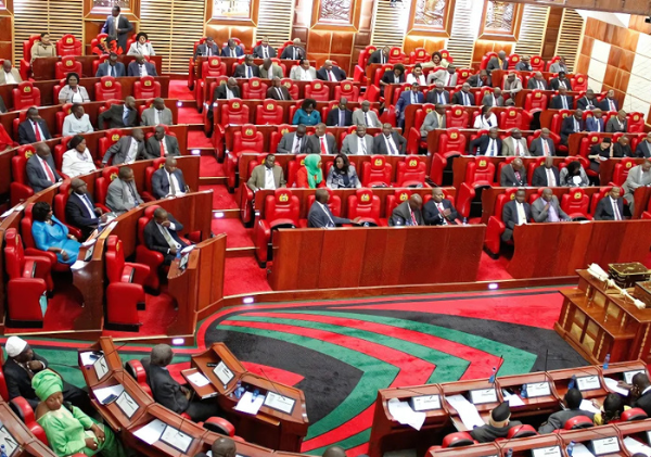 Parliament Considers Bill to Cap State CEOs’ Terms at Six Years